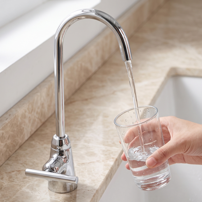 Polished Nickel Cold Water Faucet