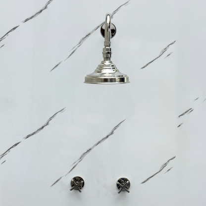 Polished Nickel Shower System with Adjustable Round Rain Shower Head, Cross Handles and Straight Arm