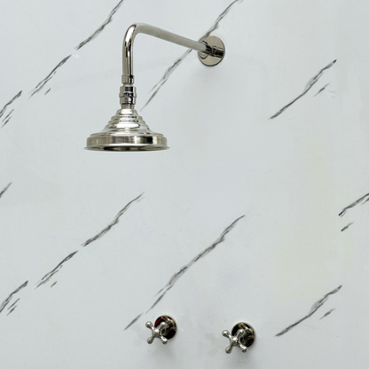 Polished Nickel Shower System with Adjustable Round Rain Shower Head, Cross Handles and Straight Arm