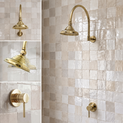 Unlacquered Brass Dome Rain Shower System with Gooseneck arm