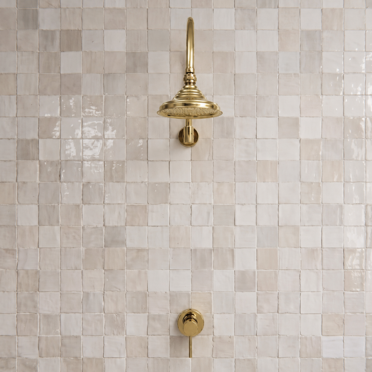 Unlacquered Brass Dome Rain Shower System with Gooseneck arm