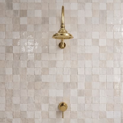 Unlacquered Brass Dome Rain Shower System with Gooseneck arm