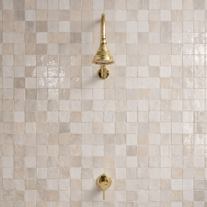 Unlacquered Brass Concealed Shower System with Dome Rain Shower Head and Gooseneck Arm