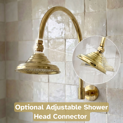 Unlacquered Brass Dome Rain Shower System with Gooseneck arm