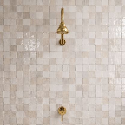 Unlacquered Brass Concealed Shower System with Dome Rain Shower Head and Gooseneck Arm