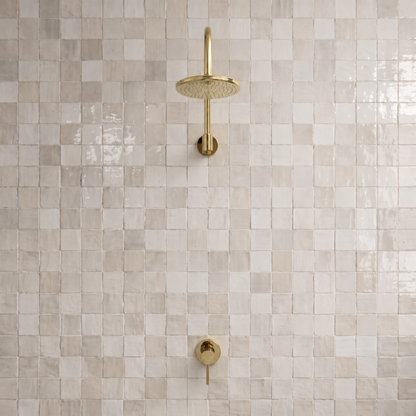 Unlacquered Brass Round Rain Shower System with Gooseneck arm 6"