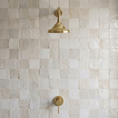Unlacquered Brass Dome Rain Shower System with Straight arm