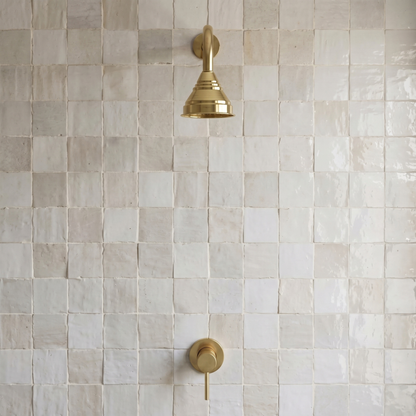 Unlacquered Brass Dome Rain Shower System with Straight arm