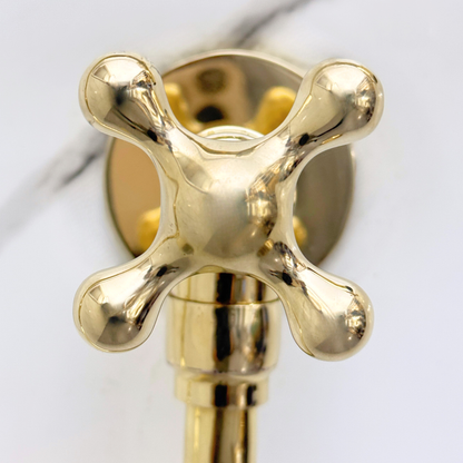 Unlacquered Brass Pot Filler with Cross Handles, Solid Brass Wall Mount Double Joint Swing Arms Pasta Faucet