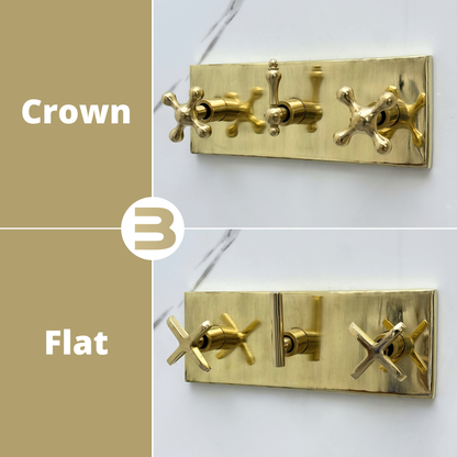 Unlacquered Brass Shower System with Round Rain Adjustable Shower Head, Handheld Shower Head, Central Brass Plaque and Cross Handles