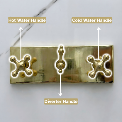 Unlacquered Brass Shower System with Round Rain Adjustable Shower Head, Handheld Shower Head, Central Brass Plaque and Cross Handles