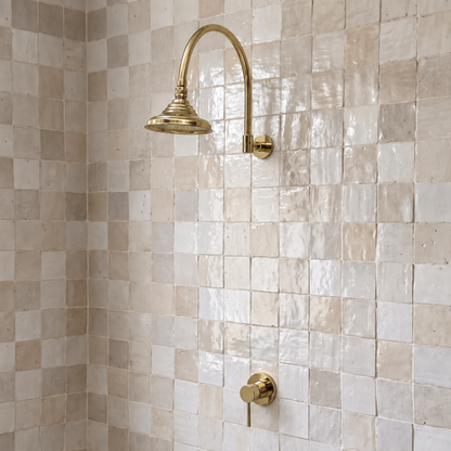 Unlacquered Brass Dome Rain Shower System with Gooseneck arm