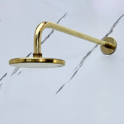 Unlacquered Brass Flat Rain Shower Head with Straight Arm, Adjustable Brass Shower Head