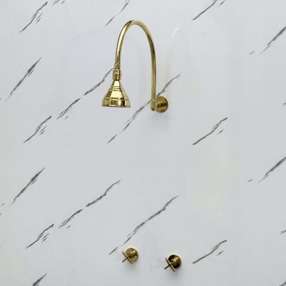 Unlacquered Brass Shower System with Adjustable Round Rain Shower Head, Arcuate Arm and Cross Handles